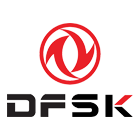 Dfsk leasing